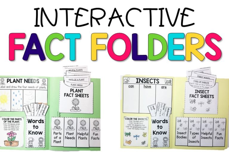 Interactive Fact Folders for Spring
